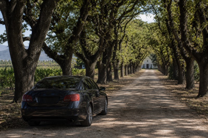 Private Full-Day Wine Tour in Stellenbosch