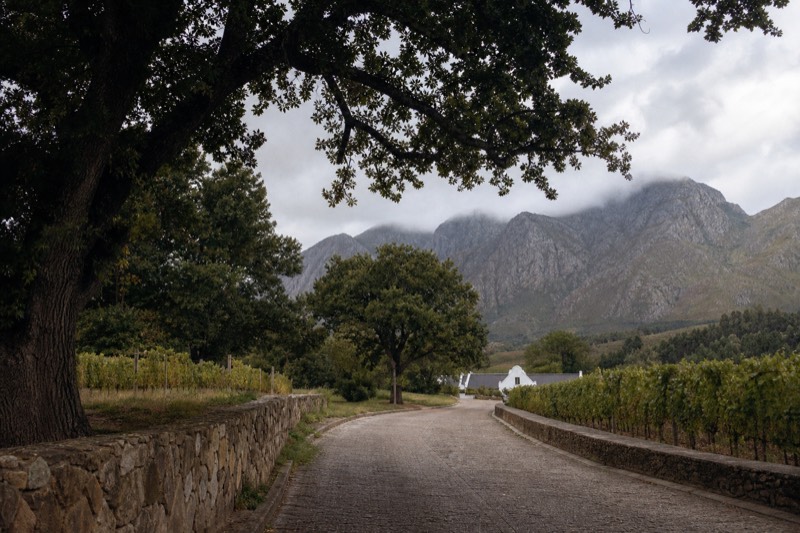 From Cape Town: Stellenbosch Half-Day Wine Tour