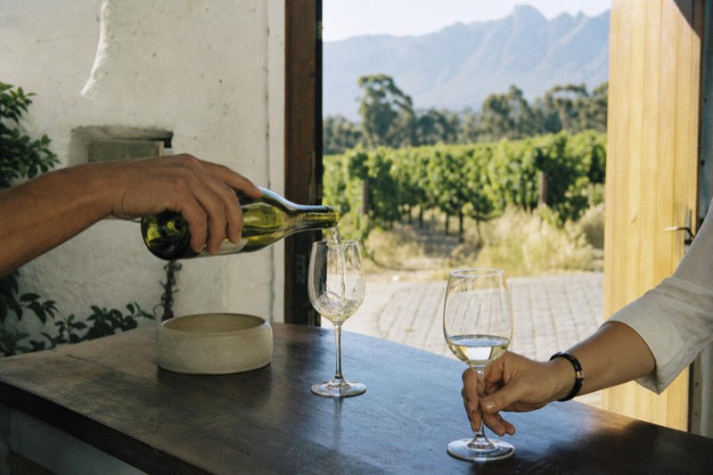 Stellenbosch: Half-Day Wine Tour
