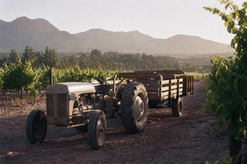 Stellenbosch Wine Tractor: Hop-On Hop-Off Tasting Tour