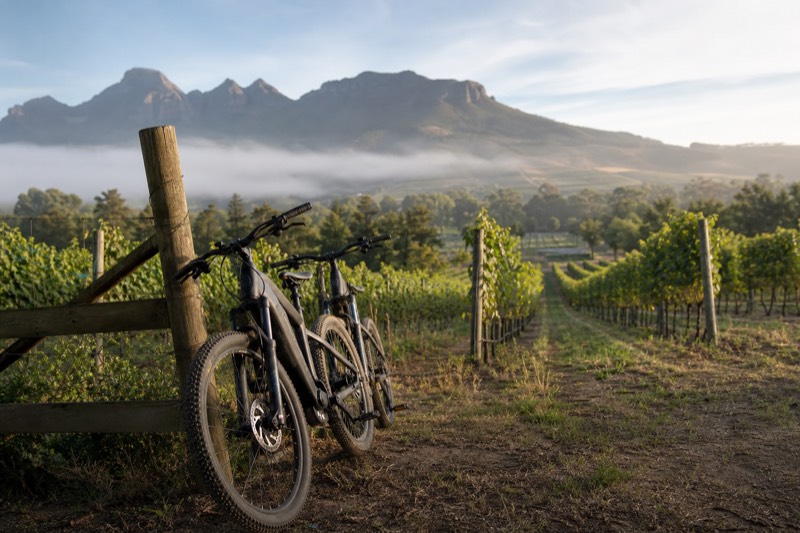 Stellenbosch: Wine Farm E-Bike Guided Tour