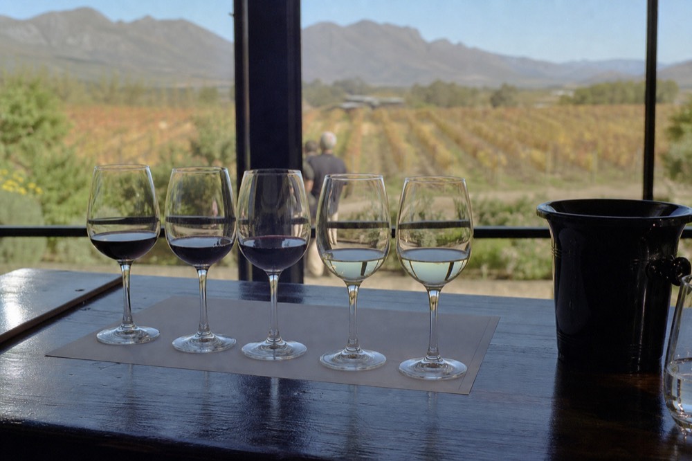 Several small pours of red and white wine lined up on a tasting mat with a spit bucket to the side, blurred vineyard through a window behind, no text, no labels, no faces