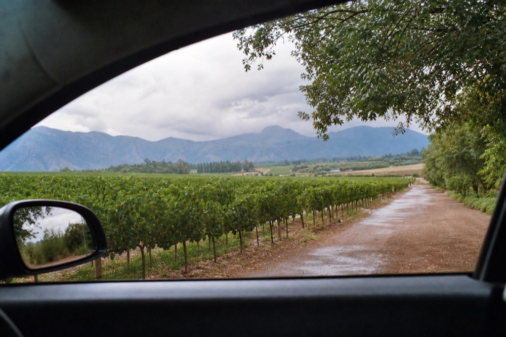 An open car window framing rows of vineyard and blue mountains along a rural Winelands road at midday, empty road ahead, no cars, no signs, no text