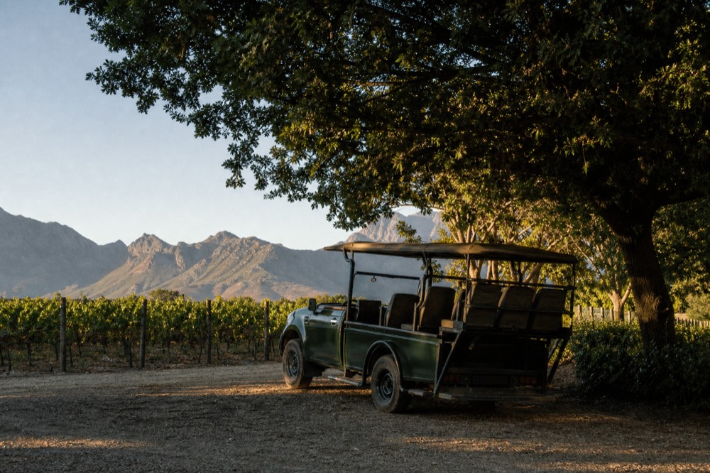 A small-group touring vehicle parked in dappled shade beside a vineyard fence with mountains behind on a clear day, empty gravel lot, no logos, no text, no faces
