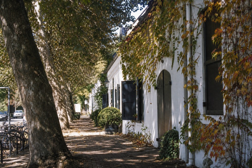 A shaded pavement under large oak trees beside whitewashed historic buildings on a compact town street, dappled light, a bicycle rack to one side, no signage, no text, no people
