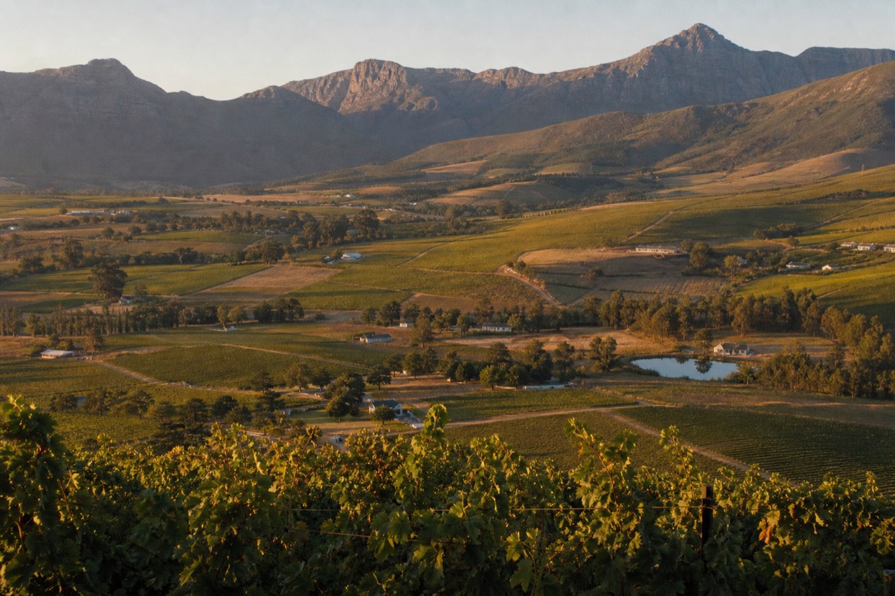 A high wide view over a patchwork of vineyard blocks filling a valley floor between mountain ranges, scattered whitewashed farm buildings among the vines, clear afternoon light, no signage, no text, no people