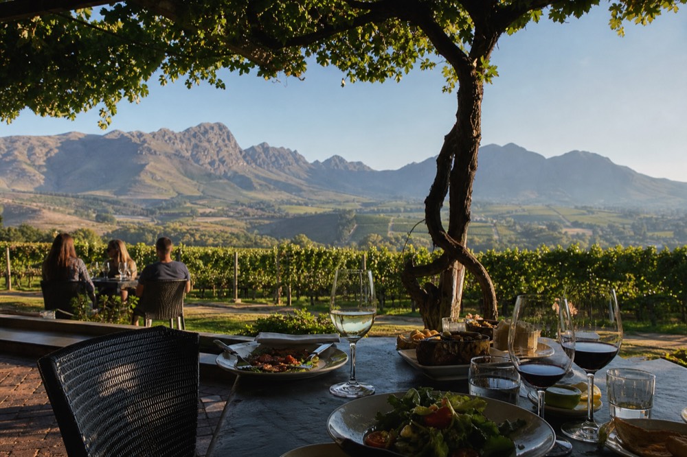 A vine-shaded terrace table set with plates of food and glasses of red and white wine overlooking green vineyard and blue mountains, warm afternoon light, no branding, no text, no faces