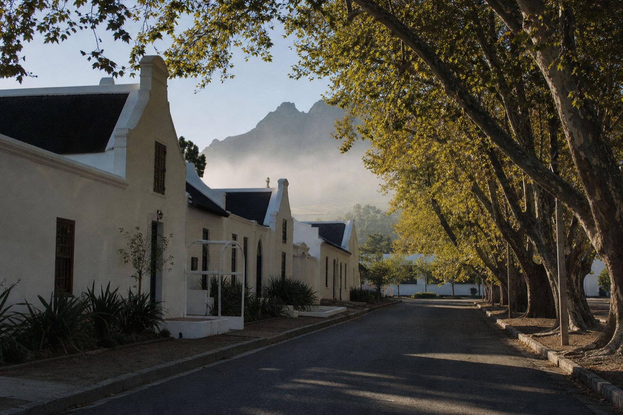 An oak-lined historic street of whitewashed Cape Dutch buildings with a mountain ridge rising at the far end, soft warm light through the leaves, quiet pavement, no signage, no text, no people