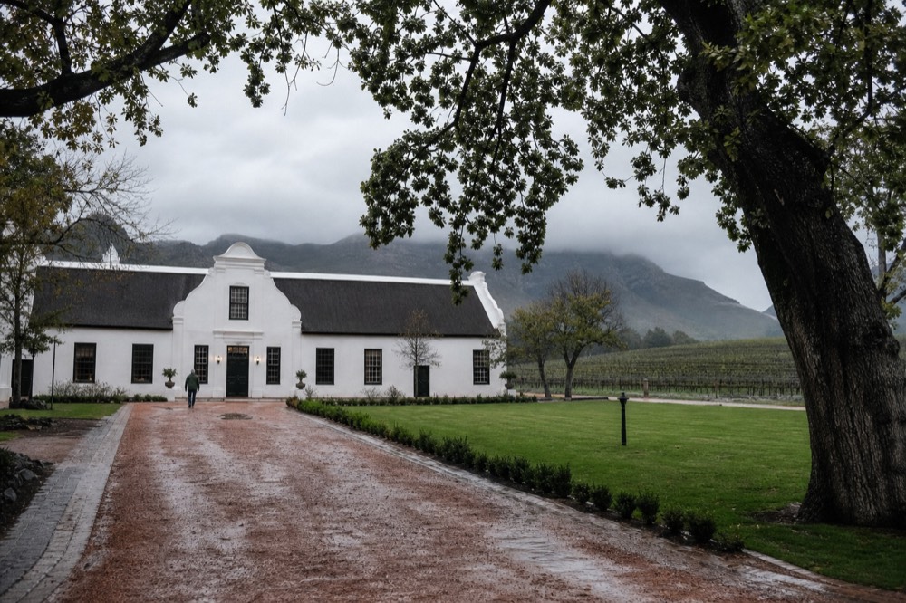A large historic gabled Cape Dutch manor set among wide lawns and old oak trees with vineyards stretching behind toward mountains, soft light, no text or logos or people