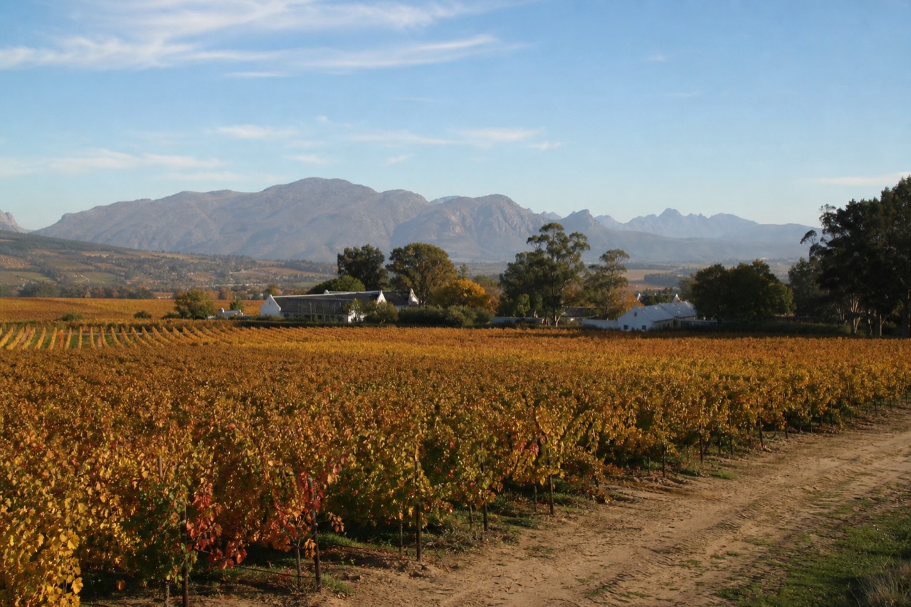 A vast sweep of vineyards running across a wide valley floor to distant mountains under a big sky, a cluster of farm buildings among trees, no signage or text or faces