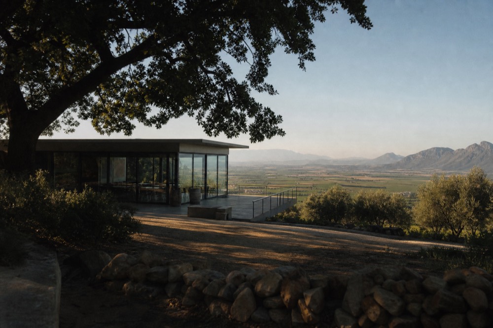 A modern glass-fronted tasting building on a high vineyard slope overlooking a wide valley at golden hour, olive trees nearby, empty terrace, no branding, no text, no people
