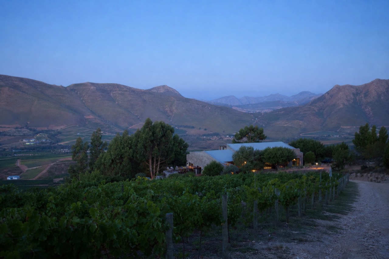 A high vineyard on a mountain pass looking down over two green valleys with a stone tasting building among trees, clear afternoon light, no signage, no text, no people