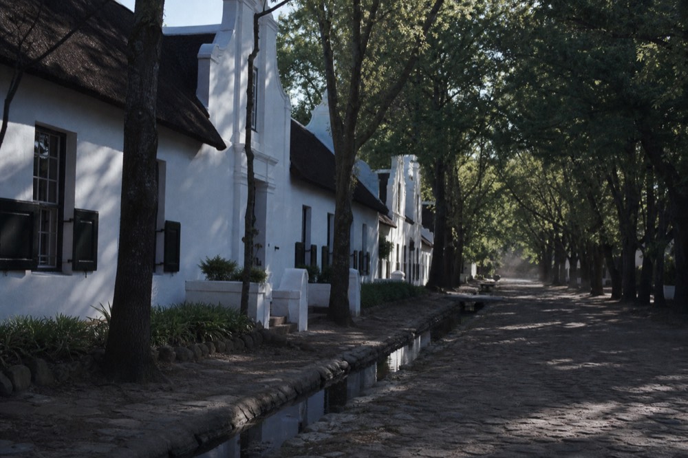 An oak-lined historic street of white-gabled Cape Dutch buildings with a water furrow running alongside, dappled shade on cobbles, quiet morning, no signage, no text, no people
