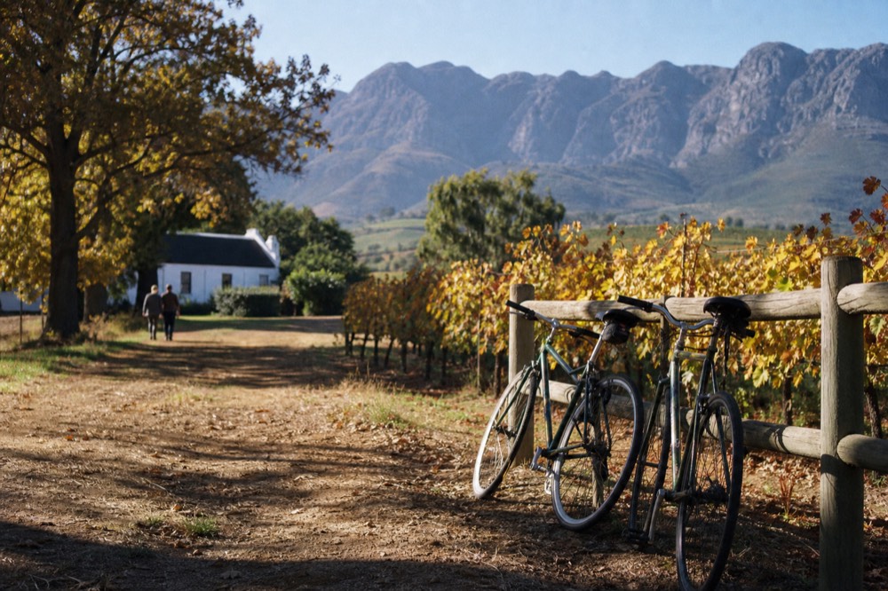 Two bicycles resting against a wooden fence beside vineyard rows on a quiet farm lane with mountains behind, warm light, no riders, no branding, no text