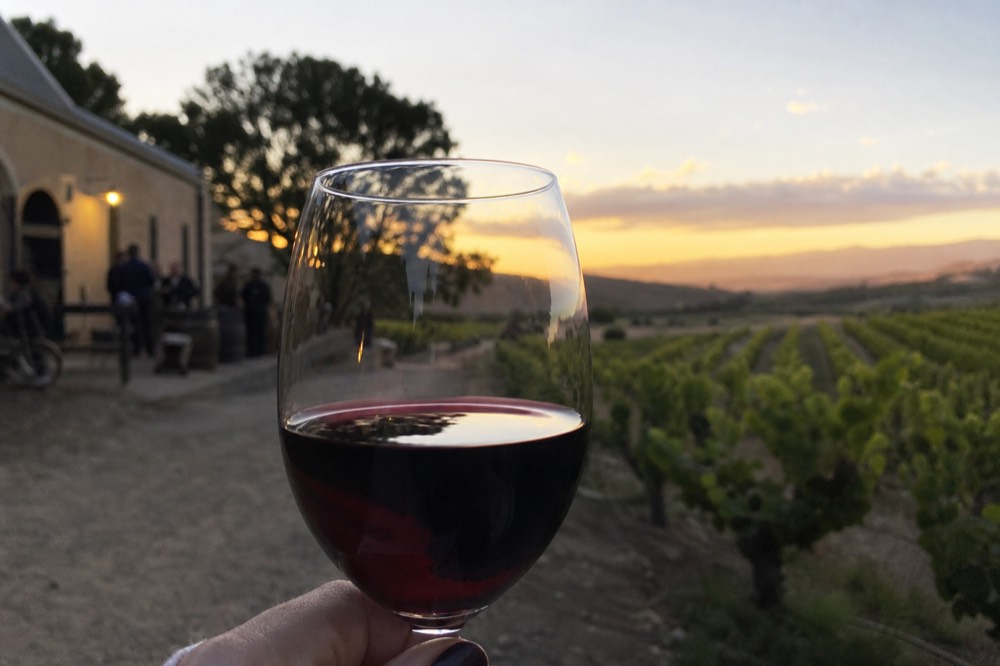 A close-up of a glass of deep red wine held against blurred green vineyard rows in warm sunlight, no labels, no text, no faces