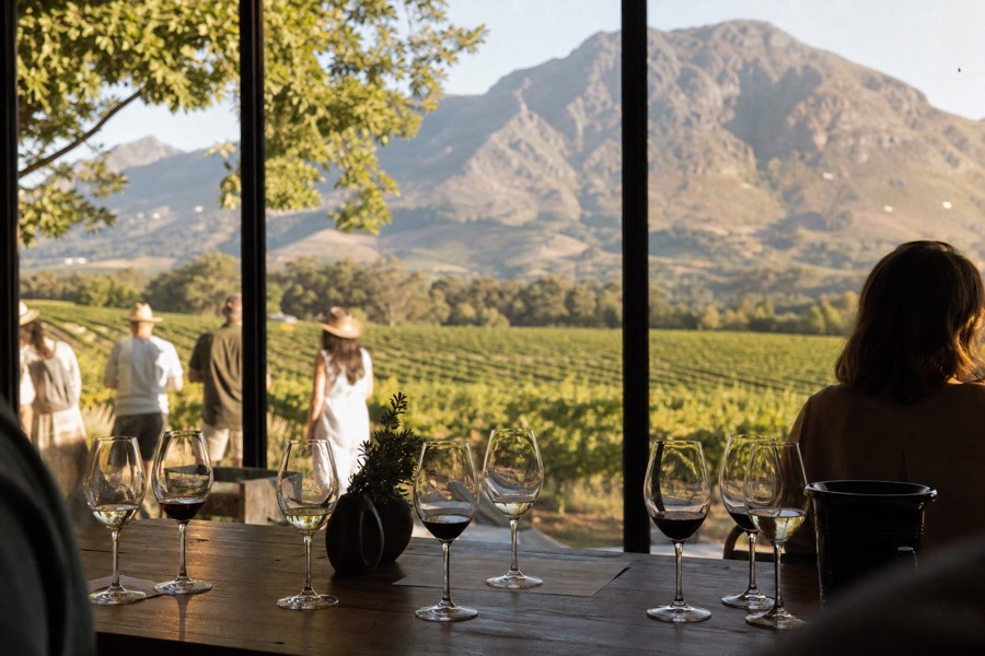 A relaxed cellar-door tasting bench with several wine glasses poured for a small group, vineyard rows and mountains through tall windows in warm light