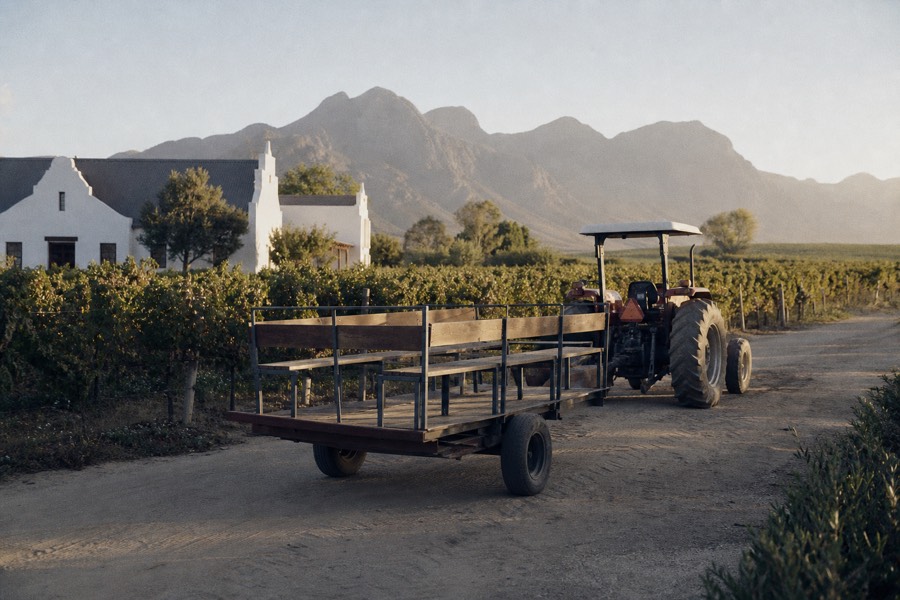 A tractor and open trailer on a farm track between vineyards on a hop-on-hop-off wine route, whitewashed cellar door and mountains behind