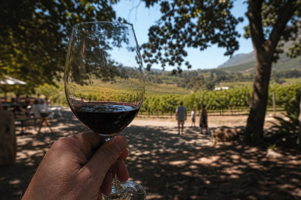 A close-up of a glass of deep red wine held against a background of blurred green vineyard rows in warm sunlight, no labels, no text, no faces
