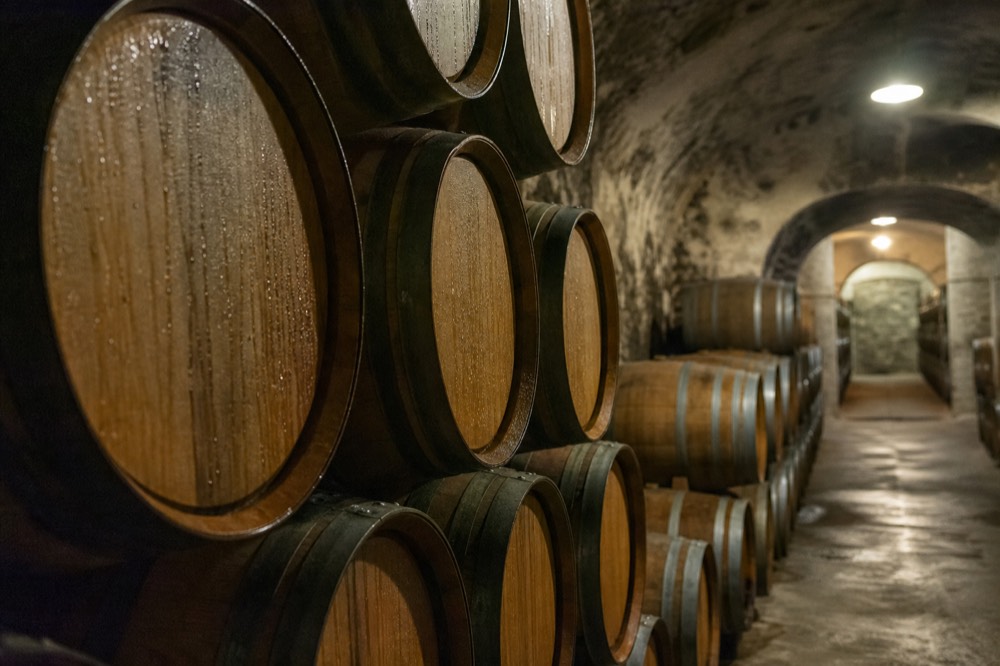 Oak barrels stacked in rows inside a dim stone wine cellar lit by warm overhead lamps, condensation on the barrel ends, no text, no logos, no people