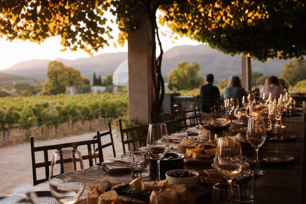 A long lunch table set on a vine-shaded terrace with plates of cheese, bread and olives beside glasses of wine, blurred vineyard behind, no text, no logos, no faces