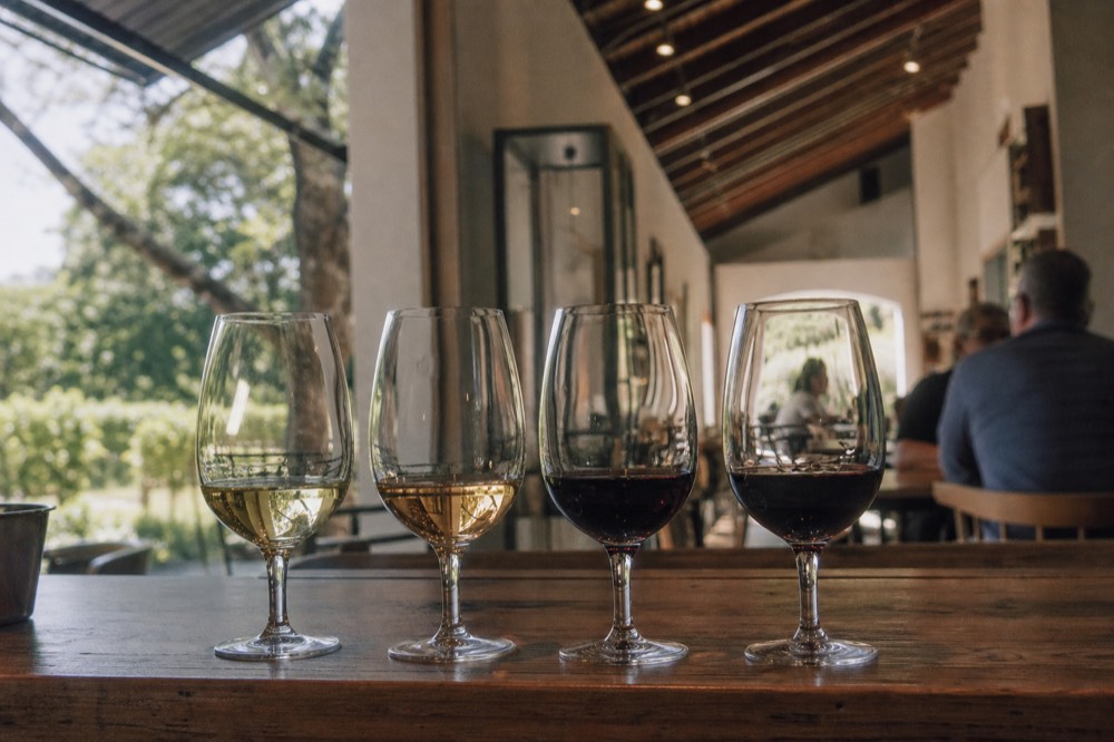 A flight of four wine glasses lined up on a wooden tasting counter from pale white to deep red, soft window light, blurred greenery outside, no text, no branding