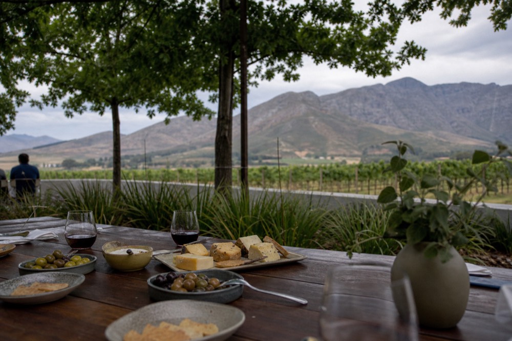 A long table set on a vine-shaded terrace with plates of cheese, bread and olives beside glasses of wine, blurred vineyard and mountains behind, no text, no logos, no faces