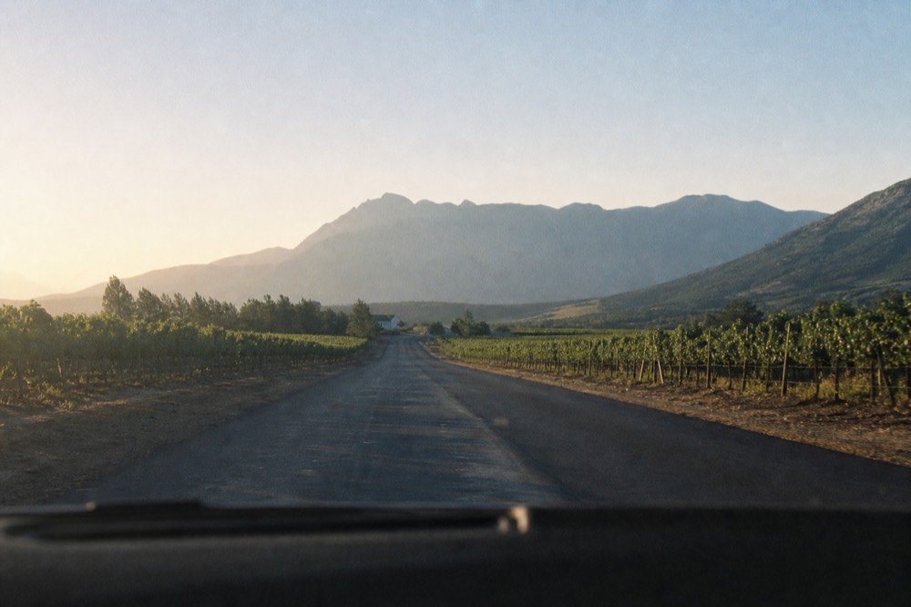 A view forward through a car windscreen along a straight rural road running between vineyard blocks toward blue mountains, empty road ahead, no other cars, no signs, no text