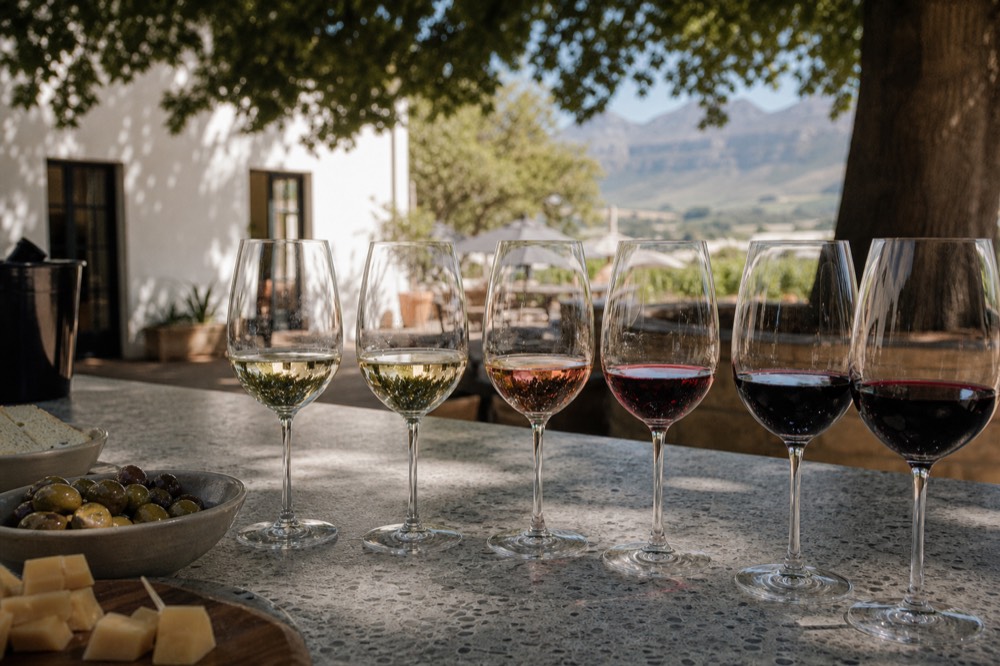 A flight of wine glasses from pale white to deep red lined up on a counter beside small dishes of olives and cheese, soft daylight, no text, no branding, no people