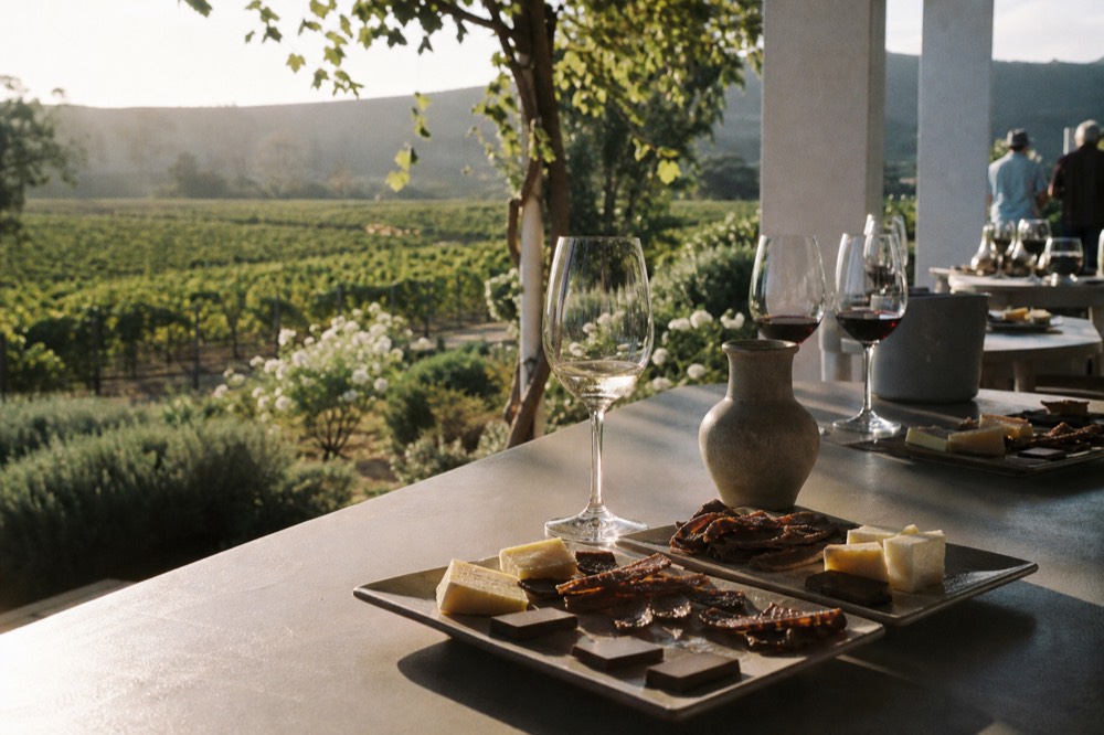 A small-group tasting table set with paired plates of chocolate, cheese and biltong beside wine glasses on a sunny estate veranda, vineyard behind, no text, no logos, no faces