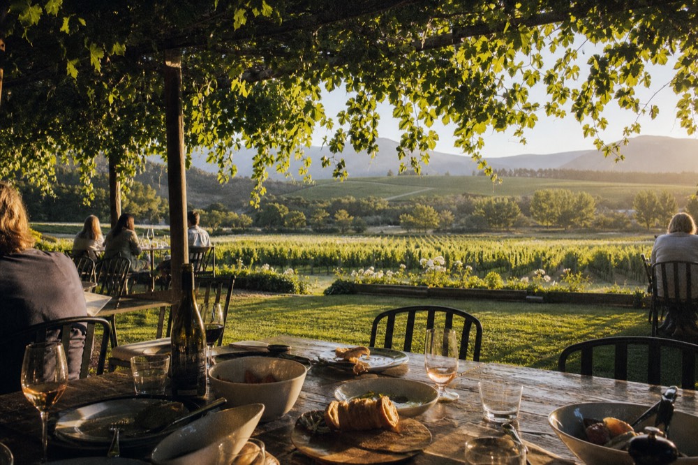 A rustic outdoor garden restaurant table under a pergola of vines with plates of food and glasses of wine, green lawn and vineyard beyond, soft light, no logos, no text, no faces