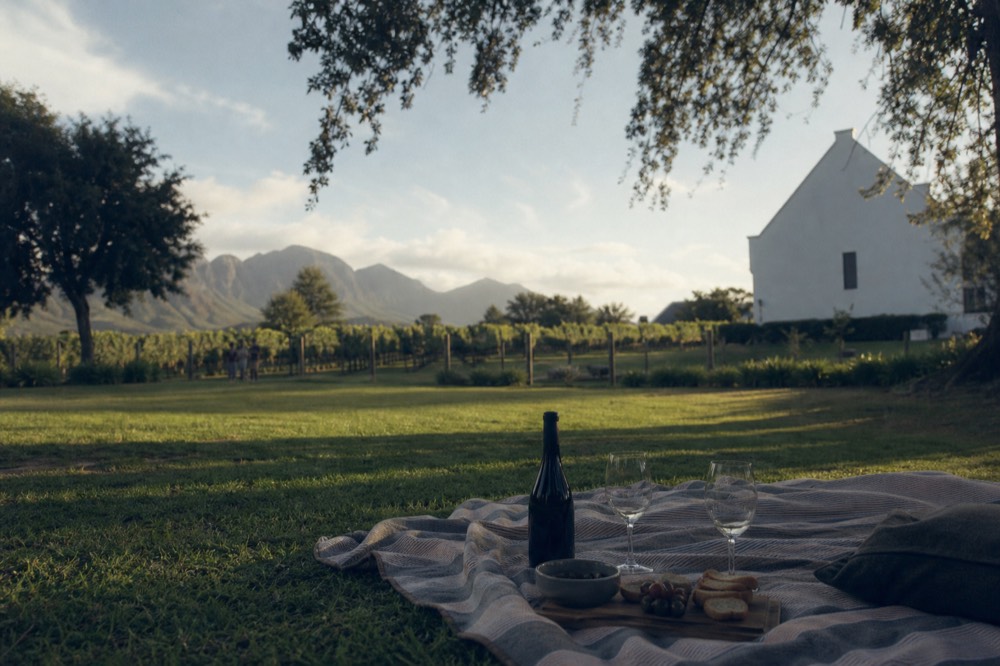 A picnic laid out on a green lawn with a wine bottle and glasses beside a folded blanket, vineyard rows and a whitewashed gable behind under a blue sky, no branding, no text, no faces