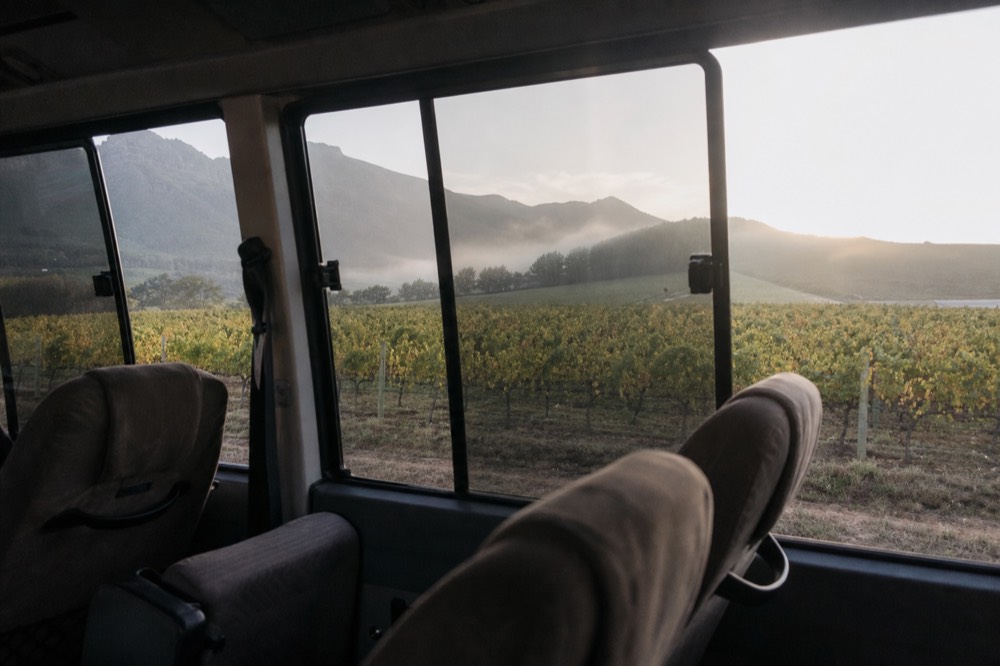 An interior view of a comfortable touring vehicle with empty upholstered seats and large windows looking out onto vineyard rows, soft daylight, no branding, no text, no faces