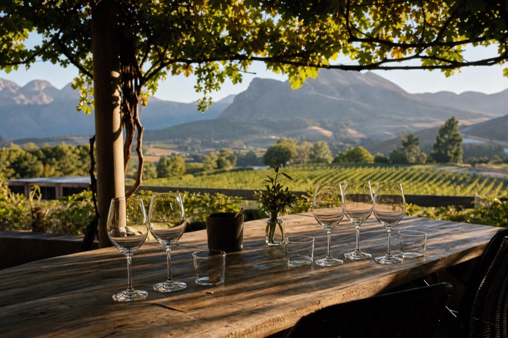 A small group of empty wine glasses arranged on a private tasting table set on a shaded terrace overlooking vineyards and mountains, soft afternoon light, no text, no branding, no people