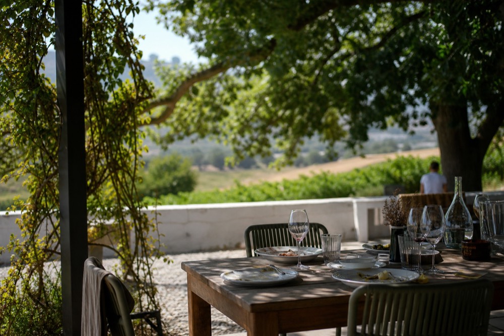 A clock of afternoon light across a vine-shaded lunch terrace with a partly cleared table of plates and wine glasses, blurred vineyard behind, no text, no logos, no faces
