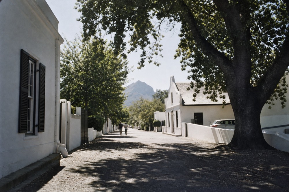 An oak-lined historic street with low whitewashed gabled buildings and dappled shade, a mountain at the end of the road, no readable signs or faces