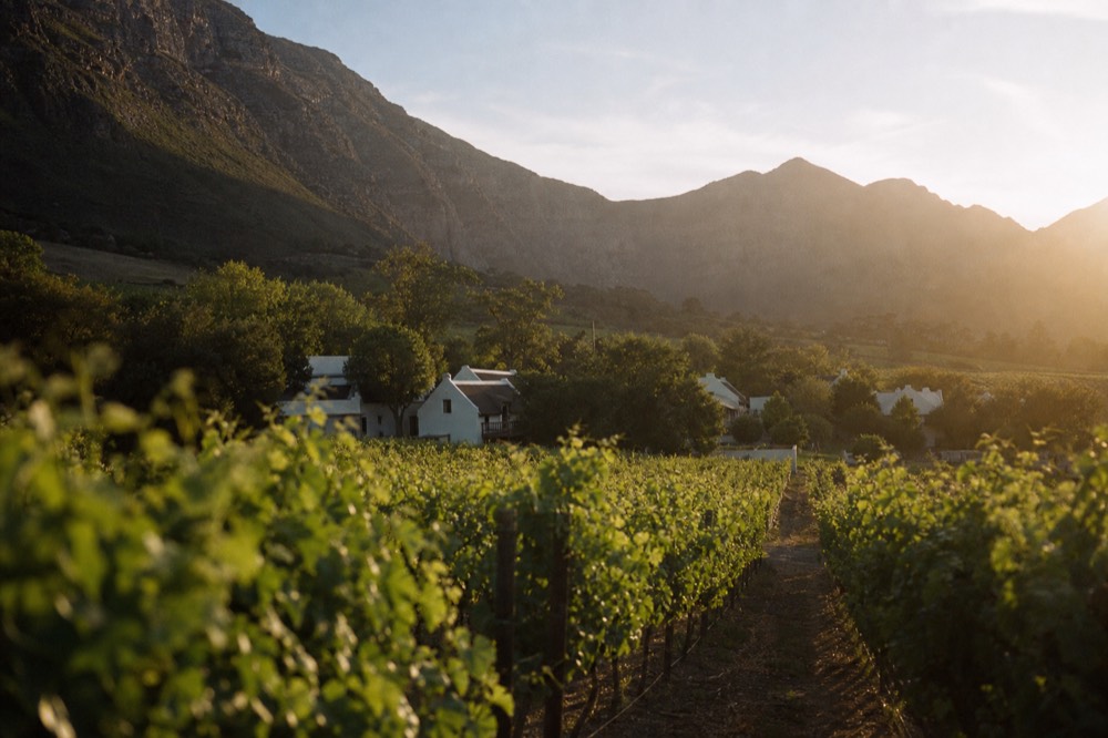 A narrow valley of vineyards framed tightly by steep mountains, a small cluster of gabled village rooftops among trees, warm light, no text or logos