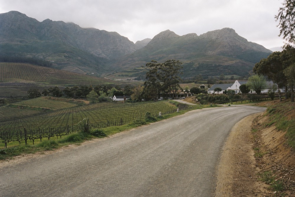 A country road curving between two vineyard valleys with a mountain pass ahead and farm buildings among trees, warm late-day light, no signage or faces