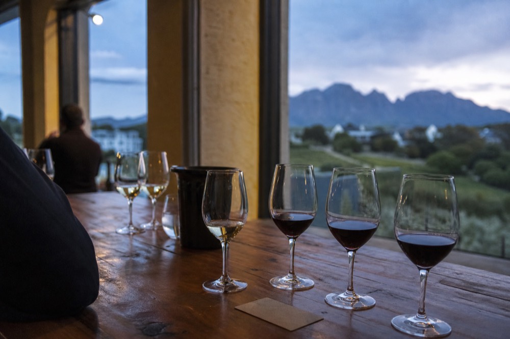 A cellar-door counter with several tasting glasses part-filled with red and white wine and a small card, soft window light, blurred vineyard outside, no readable text, no branding, no faces