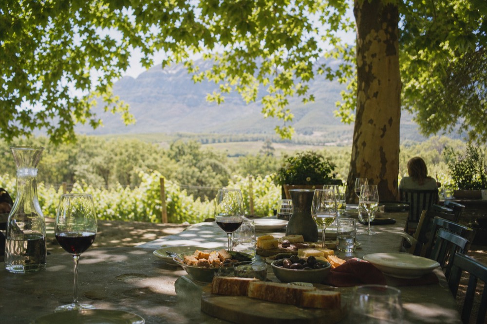 A long table set on a vine-shaded terrace with plates of bread, cheese and olives beside glasses of red and white wine, blurred green vineyard and mountains behind, warm light, no text, no logos, no faces