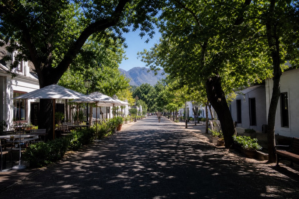 A narrow street of art galleries and cafes with tables under leafy trees, mountain silhouette at the end of the road, late-afternoon sun, no readable signs, no text, no faces