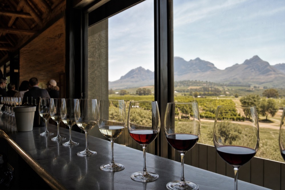 A tasting counter by a window with a row of glasses from pale white to deep red and a view of vineyard and mountains outside, soft daylight, no text, no branding, no faces