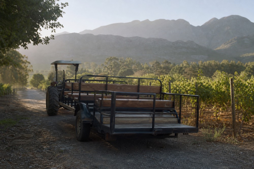 An open tractor-drawn trailer with wooden bench seats parked on a gravel track between vineyard rows, mountains behind, empty seats, no signage, no text, no people